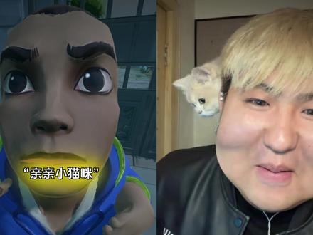 好可爱的小猫咪#瓦瓦 #小猫咪 #无畏契约 #猫咪