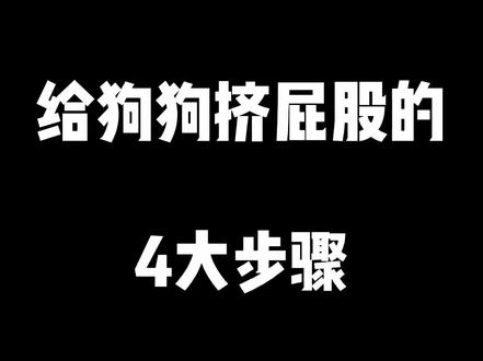 给狗狗挤屁股的4大步骤 #狗狗 #萌宠