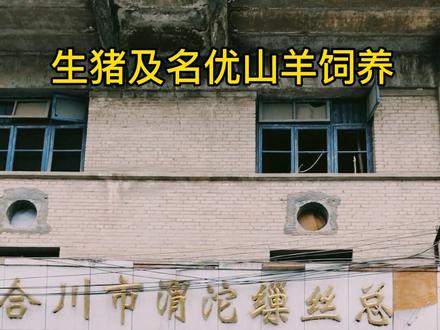 合川周边的老城渭沱,是你的家乡吗? #家乡 #乡愁 #老师辛苦了