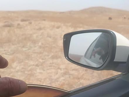 今天的风有点大!😂😂😂