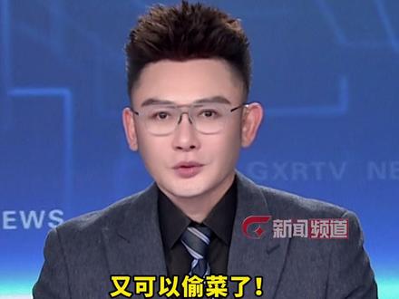 又可以偷菜了!腾讯《QQ经典农场》游戏回归