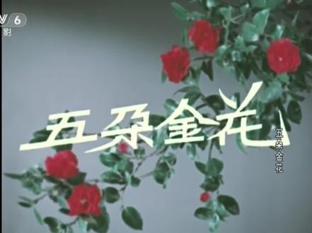 经典老电影《五朵金花》 上集
简介:旧历三月云南大理,人民公社的副社长金花带领着姐妹们驱车去赶一年一次的“三月街”传统盛会,半路车坏,众人手足无措之时,遇到前来参加赛马会的剑川铁匠阿鹏,阿鹏将车修好,没等金花致谢就翻身上马冲进赛场勇夺冠军。赛后金花找机会与阿鹏接近,两人交谈中生出感情,相约来年山茶花盛开时再在蝴蝶泉边相见。
第二年阿鹏如约前来,左等右等不见金花身影,不知如何是好之时,他结识两位来自长春电影制片厂的音乐家与画家朋友,对方听完他的经历,立誓帮他找到金花。找寻中,积肥模范金花、畜牧场金花、炼钢厂金花和拖拉机手金花先后被阿鹏错当作他的真命天女,笑话闹了不少。
#老电影#五朵金花