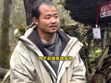11月8日|张家界 妻子跑了!父亲病逝!欠一屁股账! 硬汉“苗王”讲述家庭状况:
“希望以后能好起来 少一点烦恼”#荒野求生