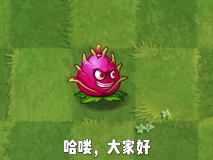 蓝卡:1~5阶火龙果测评 #植物大战僵尸2 #pvz2 #制作不易 #pvz #pvz测评