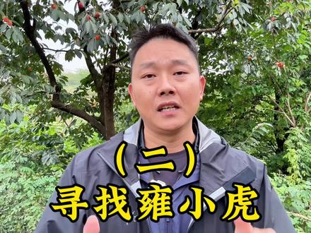 小虎找到了、但这个结局只能让人叹息#听海杂货铺 #命运的齿轮 #真实事件