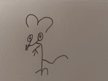 十二大侠赛金刚#十二生肖#日常乱画