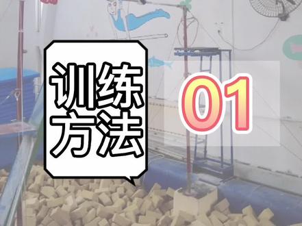 单杠大回环8练习训练方法 (01) 先练习悬垂摆动 技术正确才能过渡到徒手大回环#体操 #单杠八练习 #大回环