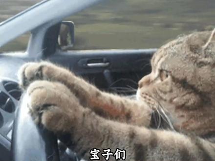 到底谁还不知道阿!#豆包 #p图 #视频通话