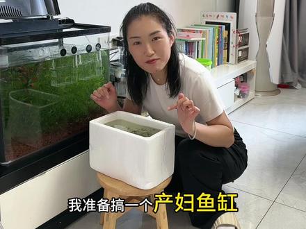搞一个产妇鱼缸,再也不用担心孔雀鱼偷偷生了!等我的结果啊鱼友们!#养鱼日记 #新手养鱼 #孔雀鱼 #孔雀鱼繁殖