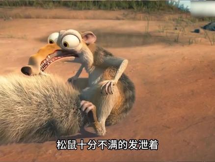 #青年创作者成长计划 #青年创作年终讲 #动物@dou+小助手 #拒绝废话#科普#冷知识#省流 #动物摄影