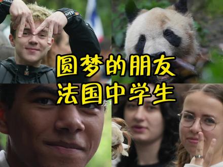 4.08圆梦...有朋自远方来不亦乐乎,小王子的法国朋友来看他了,小卷开心耳朵都飞起了##大熊猫圆梦王子回国后的日常 #熊猫基地看熊猫 #大熊猫