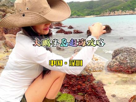 深圳大鹏仙人石、杨梅坑、西涌赶海攻略! #深圳赶海好去处 #五一去哪嗨 #遛娃好去处 #周末去哪玩