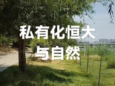 发展才能进步!