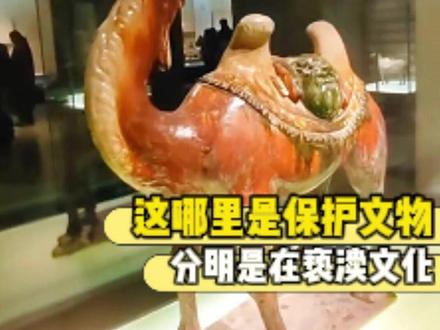 这哪里是保护文物,分明是在亵渎文化!#文物 #南京博物院 #万万没想到 #国宝