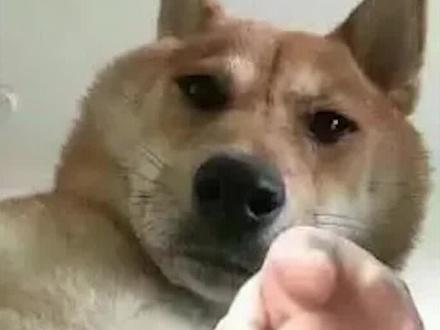 做梦模拟器:醒过来需要自杀! #游戏解说 #单机游戏