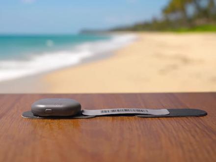 坚持喘气8802天丨 GPT-5.2光速袭来...基准测试看得有点疲劳了。#科技新闻 #超级个体 #ChatGPT #Gemini3 #呼吸健康 @DOU+上热门 @抖音创作小助手