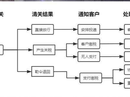 DHL等快递清关流程#国际物流 #清关 #国际快递 #外贸