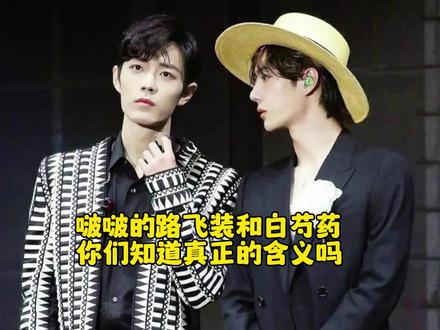 这是我看过最高级的浪漫 #博君一肖 #王一博 #肖战