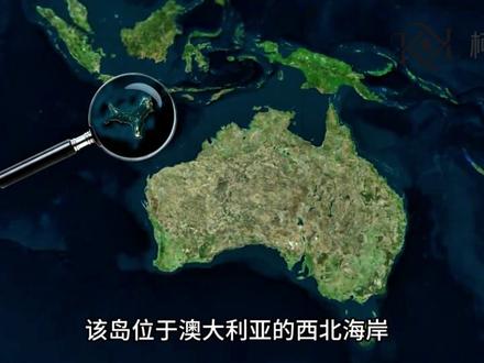 那些你不知道的奇怪繁衍法则。 #海洋 #海底世界 #海洋生物