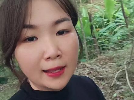 颠了颠了,海南的益智癫了,刚摘果半个月又再一次开花结果了#益智种植#三农