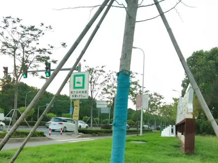 虹梅路隧道吴泾方向,是区间测速,限速60码!市区来的小伙伴,回去的时候,悠着点!#临港南桥科技城顾大局 #侬好顾大局 #奉贤新城顾大局