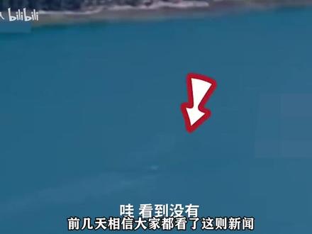 马里亚纳海沟深海中拍摄到很可能是巨齿鲨的巨型鲨鱼。
