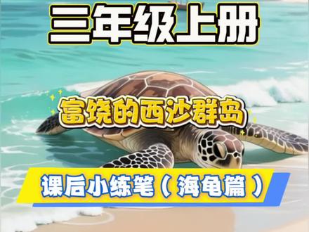 三年级上册语文富饶的西沙群岛课后小练笔#作文素材#作文范文 #动画视频#家长收藏必备 #抖音热搜
有趣的海滩
西沙群岛的海滩,是贝壳的乐园,也是海龟的家园。
沙滩上的贝壳真多呀!它们千奇百怪,颜色不一。有的像一把小小的扇子,上面有着精美的花纹;有的卷卷的,像一只可爱的小号角;还有的布满五彩的斑点,在阳光下闪闪发光。退潮后,沙滩上留下了无数这样的宝贝,一脚踩上去,松松软软的,还会发出“沙沙”的响声。
最有意思的是,庞大的海龟正慢悠悠地爬到沙滩上来产卵。它划动着像船桨一样的四肢,笨拙又努力地在身后留下一条长长的痕迹。它会选择一片温暖的沙地,挖好坑,然后安心地产下自己的蛋。等到小海龟破壳而出的那一天,它们就会一起奔向大海的怀抱。
这片海滩,充满了无限的生机与乐趣!