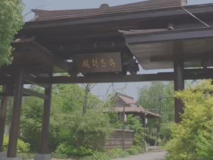 一加的Log也能套富士滤镜啦|重磅更新 #一加 #一加logo #一加15 #一加15t #一加ace6