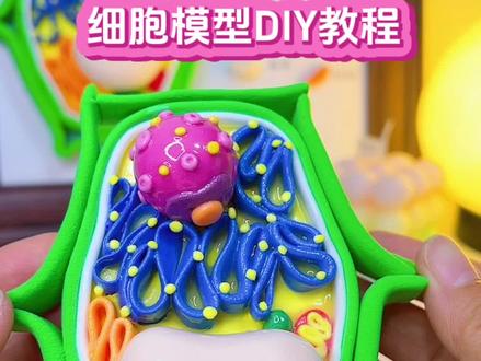 植物细胞模型教程 #粘土 #作业 #粘土教程 #细胞模型 #作业