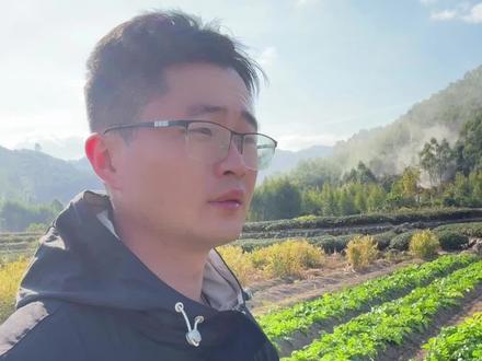 吃完香蕉,香蕉皮先别丢,一招教你#香蕉皮做肥料 #抖音农村人 #种植小技巧小妙招