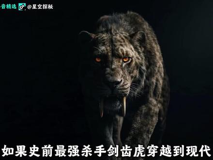 如果史前最强杀手剑齿虎穿越到现代,面对老虎、狮子、美洲豹,到底谁才是真正的猫族之王?#科普 #剑齿虎 #抖音精选