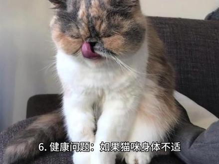你知道猫咪走路绊你是什么问题吗?