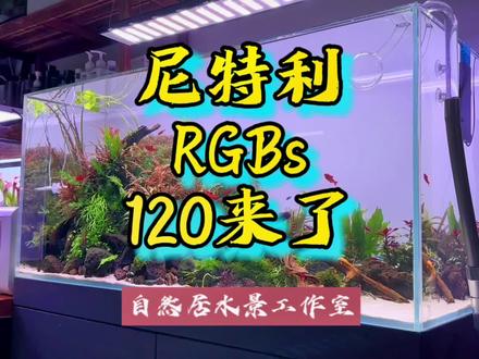 尼特利RGBs 120款来了#玻璃缸中的大自然 #水族用品 #草缸造景 #草缸灯 #水草造景