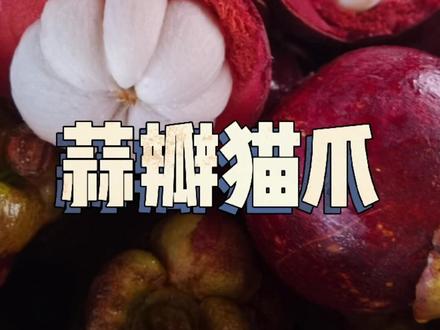 😅这山竹有说像猫爪,也有说像蒜瓣儿的。#818新潮好物节 #水果 #吃货