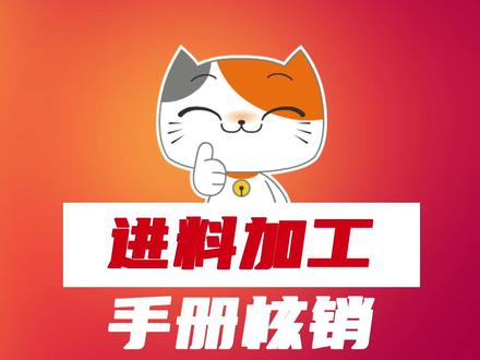 进料加工手册核销,流程在这里!#出口退税 #退税问答 #财务 #会计 #慧税学苑 @DOU+小助手