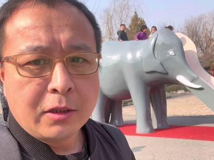 北宁公园大象滑梯回来了,天津孩子童年记忆 #北宁大象滑梯记忆挑战 @天津市河北区文旅 #见闻九河晓月 #北宁公园