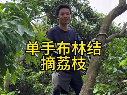 单手布林结摘荔枝#户外知识#户外技能 #野外生存#绳结#荔枝