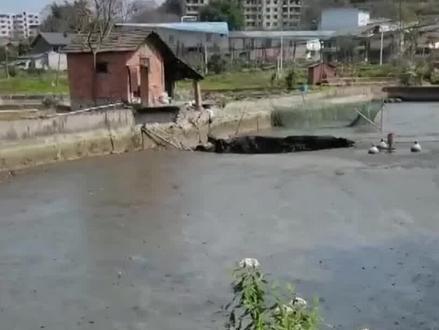 地陷究竟有多可怕?被它吃掉的东西最终都去哪了? #重庆地陷 #天坑 #鱼塘现深坑2万斤鱼一夜消失 #神秘深坑