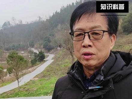 茯苓道地产区,为什么行业只认靖州? #靖州茯苓#药食同源 #茯苓科普 #养生好物 #源头好货