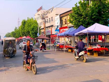 徐州市邳州市四户镇 在秦汉时期:四户镇属于郯县管辖。四户古城遗址可能是汉晋时期的郯县故城,其周长超过 1860 米,城墙保存较为完整,有老北门、老东门、老西门等多个城门。
城墙为夯筑土城,墙顶宽约 10 米,底部宽达 20 余米,具有典型的古代城防特征
四户镇,顾名思义就是由庄、陈、窦、佴四姓大户始居于此,而得名。
明代时,四户有邳州北大门之称,是江南省直隶淮安府邳州偃武二乡四户社驻地;清代,是邳北十八圩区团所在地。
民国期间,为邳县乡四户镇。1953 年,郯城县西南部 86 村划归邳州,其中找埠村等四户镇的村庄正式脱离郯城。
此次调整是苏鲁两省行政区划的重要变动,四户镇自此完全隶属于江苏省邳州市,两地分属不同省份。
1957 年,建四户乡;1958 年,成立四户人民公社;1983 年,恢复四户乡;1987 年,建四户镇
白马寺始建于南北朝北魏正光年间(公元 520-525 年),原名大佛寺。相民间传说,唐朝薛仁贵东征时,在寺东北的银杏树上拴过白马,因此改名为白马寺。
,每年农历二、七会举办古庙会,方圆百里的百姓都会前来拜会。
邳州市四户镇竹园村东一里的高地上,有大墩子遗址。它是中国新石器时代,黄河下游地区的重要文化遗存,2006 年被列为第六批全国重点文物保护单位。
遗址地势高亢,平面呈漫坡状圆形土墩,高约 4.3 米,直径约 250 米,占地面积达 5 万平方米。曾出土过大量磨制石器,包括穿孔石斧、石凿等。陶器和彩陶的发现,证明了大汶口文化的丰富和多样性。
大墩子古文化遗址表明,早在 6000 多年前,这里就有人类繁衍生息,并创造了灿烂的大汶口文化。#邳州市四户镇 #大墩子遗址 #白马寺 #竹园村