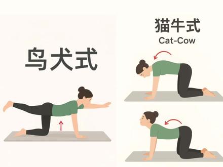 你的死虫式做标准了吗🙋🏻脊柱侧弯居家训练超详细动作讲解🌟#死虫式正确训练 #死虫式核心训练 #脊柱侧弯居家训练 #南京正中脊 #南京施罗斯训练