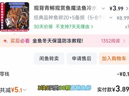 3.8元买了38颗青鳉鱼卵,如今半年过去,鱼长大了吗? #观赏鱼 #观背青鳉 #生态缸 #古法缸 #古法养鱼
