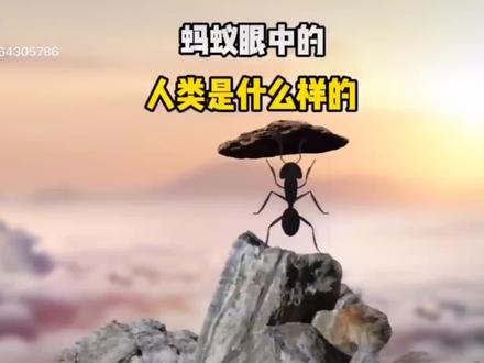 蚂蚁眼中的人类是什么样?#哲学观看世界#