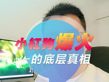 小红狗爆火的底层真相 #小红狗 #网络热梗 #情绪价值 #年轻人心态 #短视频干货 #新疆设计师