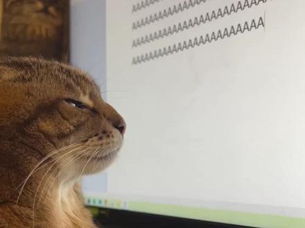 Aaaaaaa#猛兽 #狮子王 #艺术柚