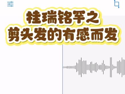 到底是谁动了我们一家四口的头发!还我孩子头发!😭
#桂瑞铭罕 #桂瑞#铭罕#陈思铭想 #ai