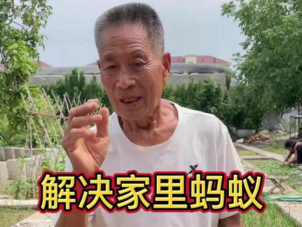 家庭小院,阳台上出现蚂蚁,教你一招解决它。#阳台 #我的小菜园#田园生活#蚂蚁