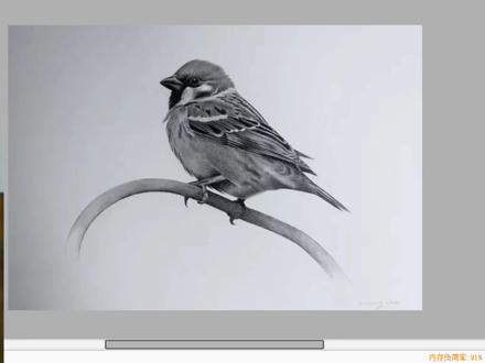 教你怎么样画好素描动物小麻雀