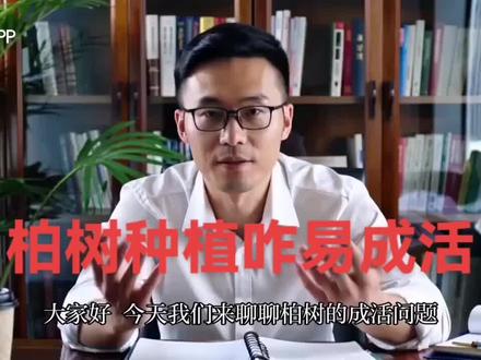 柏树种植成活率注意事项……