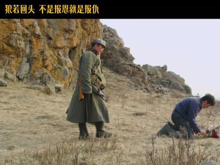 草原狼是生态中重要一环,我们从自然中索取,也要敬畏自然! #狼图腾 #重返狼群 #生态保护 #狼王